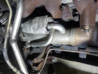 Радиатор (теплообменник) EGR Ford Transit (00-06) 2005