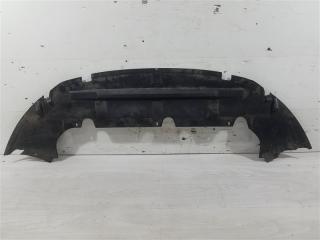 Защита переднего бампера Ford Focus 2 (08-11) 2010