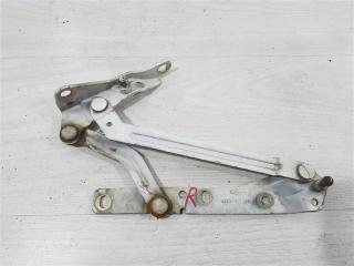 Петля крышки багажника правая Ford Focus USA (2004-2007) 2005