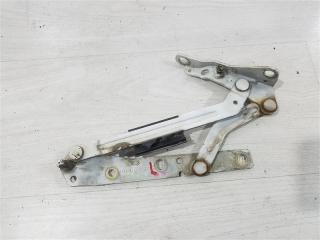 Петля крышки багажника левая Ford Focus USA (2004-2007) 2005