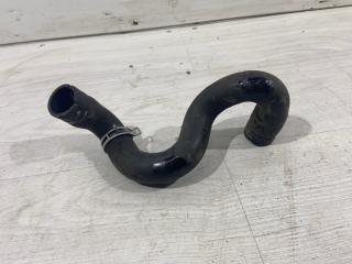 Патрубок радиатора нижний Ford Focus 2 (04-08) 2005 контрактная Патрубок радиатора нижний Ford Focus 2 (04-08) 2005