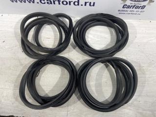 Уплотнитель двери Ford Galaxy (06-15) 2008