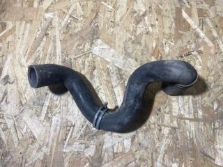 Патрубок радиатора нижний Ford Focus 2 (08-11) 2008 контрактная Патрубок радиатора нижний Ford Focus 2 (08-11) 2008