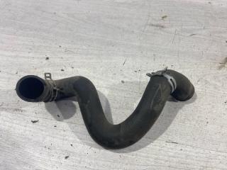 Патрубок радиатора нижний Ford Focus 2 (08-11) 2010 контрактная Патрубок радиатора нижний Ford Focus 2 (08-11) 2010