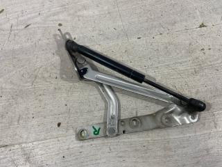 Петля крышки багажника правая Ford Focus 2 (08-11) 2010