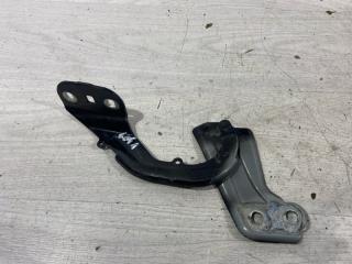 Петля капота правая Ford Kuga 2 (12-16) 2013