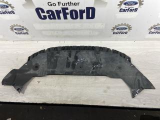 Защита переднего бампера Ford S-MAX (06-15) 2011