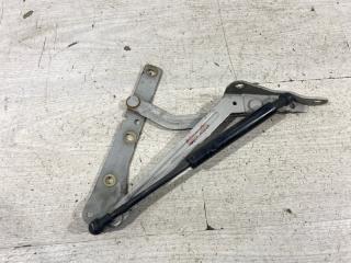 Петля крышки багажника правая Ford Focus 2 (04-08) 2007