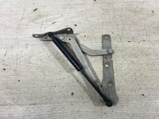 Петля крышки багажника левая Ford Focus 2 (04-08) 2007
