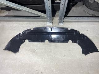 Защита переднего бампера Ford Focus 2 (08-11) 2008