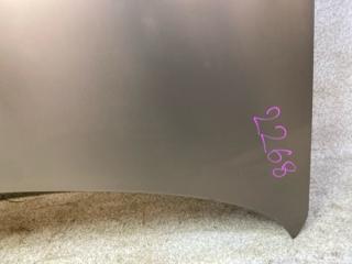 Капот Qashqai J10