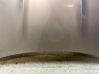 Капот Qashqai J10