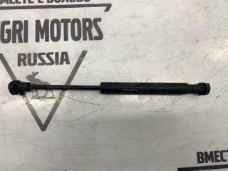 Фото запчасти амортизатор капота Nissan X-Trail 2010 контрактная запчасть Запчасть амортизатор капота Nissan X-Trail 2010