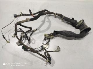 Электропроводка (жгут) двери передняя правая Ssangyong Rexton 2001 Б/У Электропроводка (жгут) двери передняя правая Ssangyong Rexton 2001