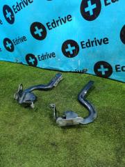 Петля капота Toyota Aqua 2019