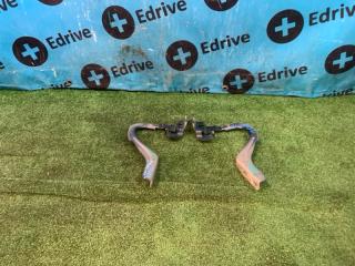 Петля капота Toyota Tank 2017