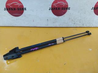 Амортизатор багажника Ford Focus 2014