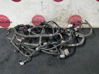 Проводка двигателя Toyota Altezza 2003
