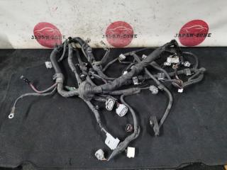 Проводка двигателя Toyota Allex 2001