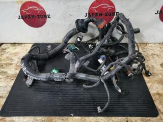 Проводка двигателя Nissan Primera 2005