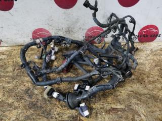 Проводка двигателя Toyota RAV4 2002