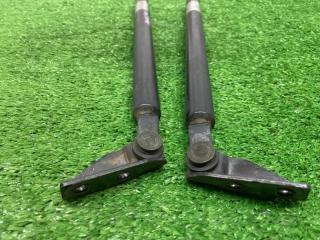 Амортизатор багажника Familia S-Wagon 2001 BJ5W ZL-DE