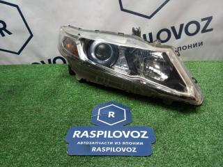Фара правая Honda Odyssey 2008
