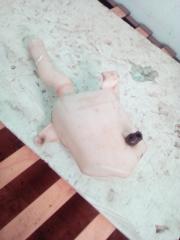 Запчасть бачок омывателя Ford Mondeo 2000-2007