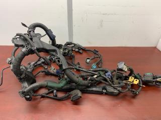 Запчасть проводка двс Honda Civic 2008