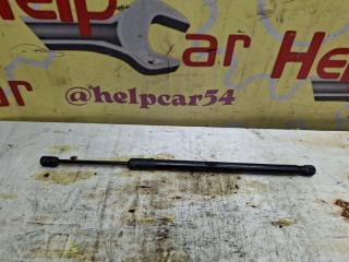 Запчасть амортизатор левый EXEED RX 2023