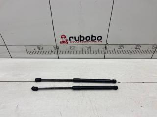 Амортизаторы капота BMW X5 2008