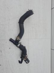 Патрубок охлаждения RX 4 2017 AL20 2GR-FXS