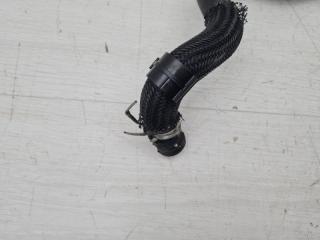 Патрубок охлаждения RX 4 2017 AL20 2GR-FXS