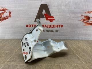Кронштейн крыла переднего левый TOYOTA LAND CRUISER PRADO 150 (2009-н.в.) Б/У Кронштейн крыла переднего левый TOYOTA LAND CRUISER PRADO 150 (2009-н.в.)