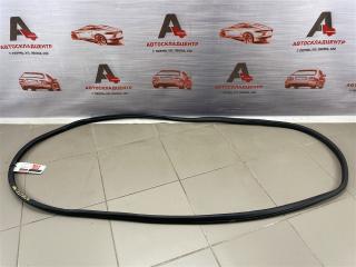 Уплотнитель двери передний левый NISSAN JUKE (2011-2020)