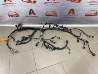 Электрика - проводка моторного отсека HAVAL M6