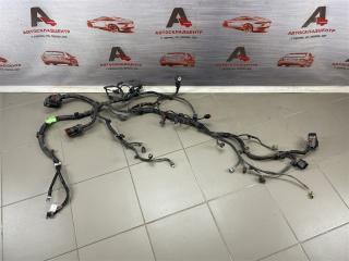 Электрика - проводка моторного отсека HAVAL JOLION