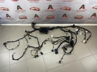 Электрика - проводка моторного отсека HAVAL JOLION
