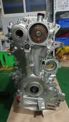 Двигатель X-Trail LGBM KR15