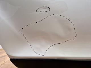 Дверь задняя правая X3 Pro