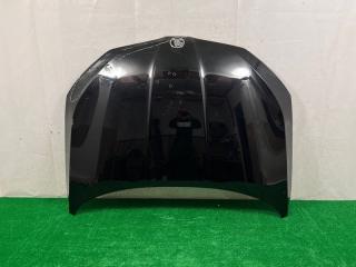 Капот Skoda Rapid