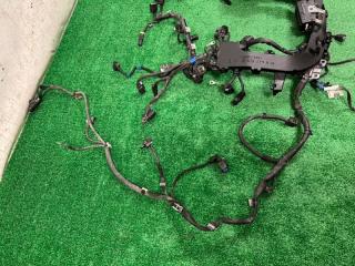 Проводка двигателя GLE 166 OM642