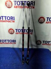 Запчасть амортизатор задней двери MITSUBISHI RVR 2000.09