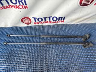 Запчасть амортизатор задней двери RENAULT MEGANE III 2012