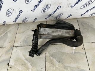 Интеркулер Focus 3 2011 CB8