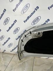 Капот C3 Picasso 2009 SH