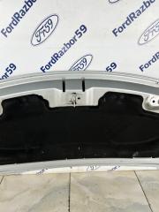 Капот C3 Picasso 2009 SH