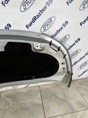 Капот C3 Picasso 2009 SH