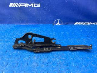 Запчасть петля багажника задняя правая BMW 335 2007