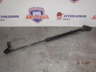 Запчасть амортизатор багажника задний правый Nissan Qashqai 2011